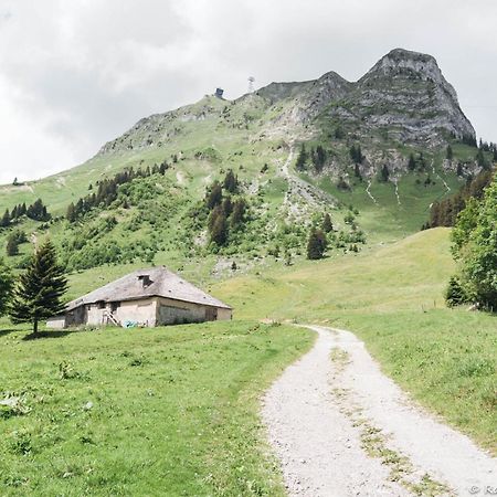 Joli Studio Au Pied Du Moleson Gruyeres Eksteriør billede