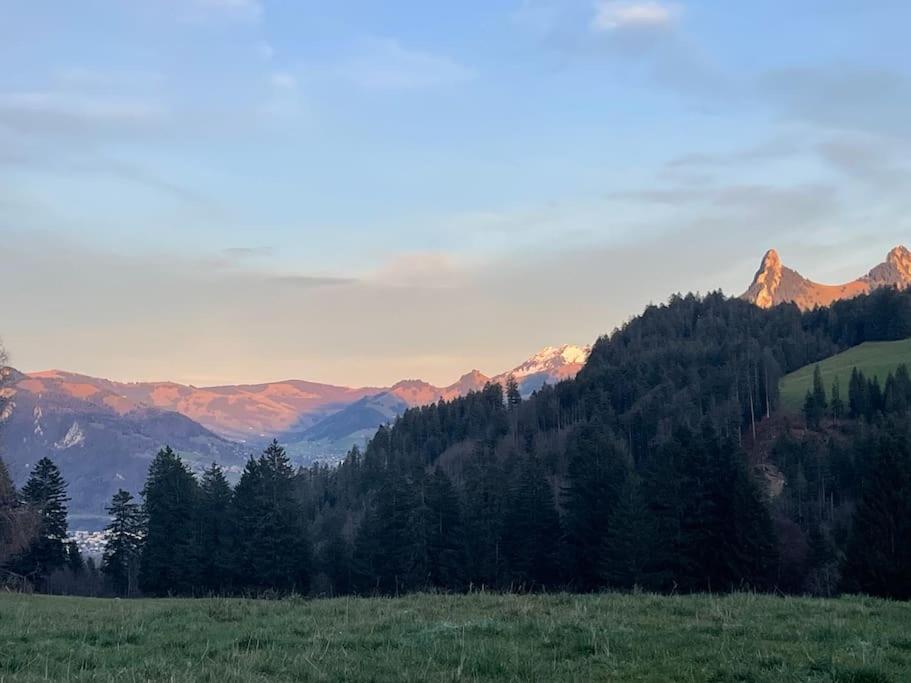 Joli Studio Au Pied Du Moleson Gruyeres Eksteriør billede